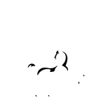 loyds bank loyds bank