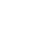 tern tern